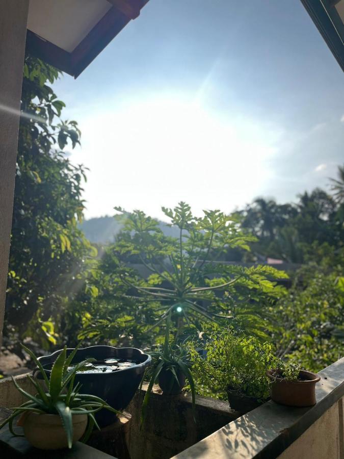 Rustic Mahaweli Apartment Kandy Exterior photo